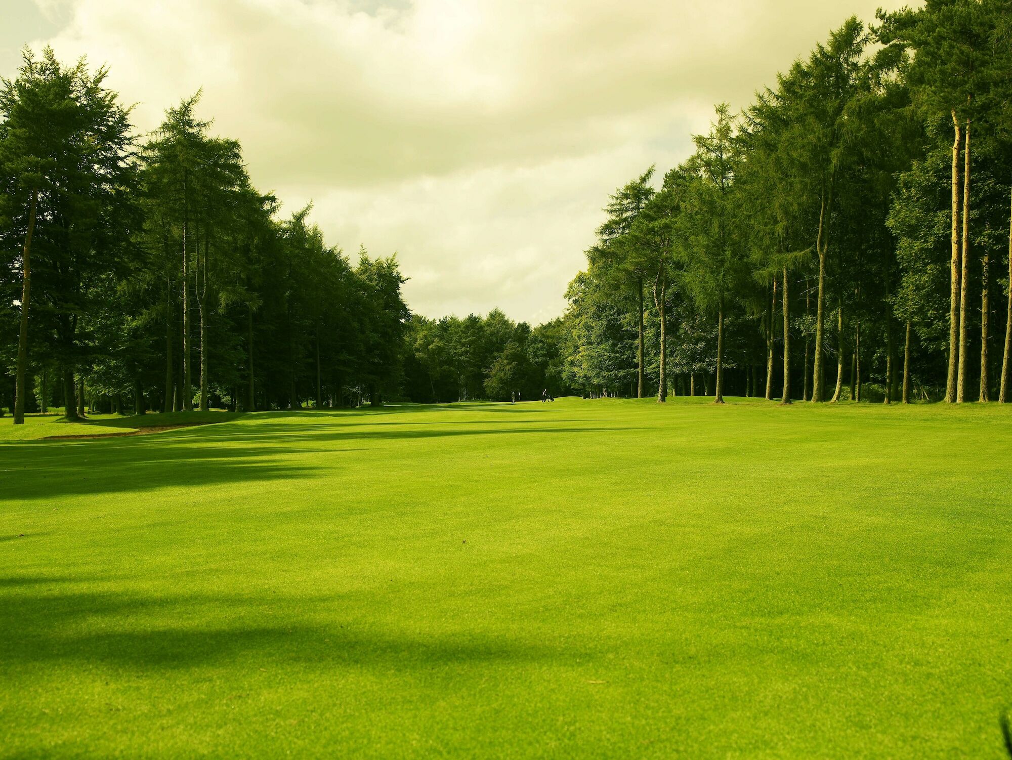 Forest Pines Hotel, Spa & Golf Resort Бригг Экстерьер фото